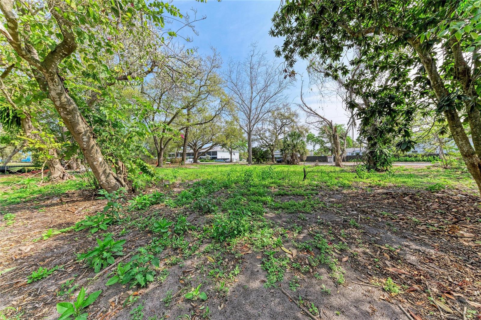 820 S BENEVA RD — photo 5