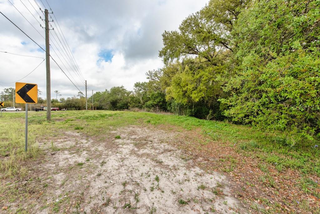 LUTZ LAKE FERN RD — photo 29