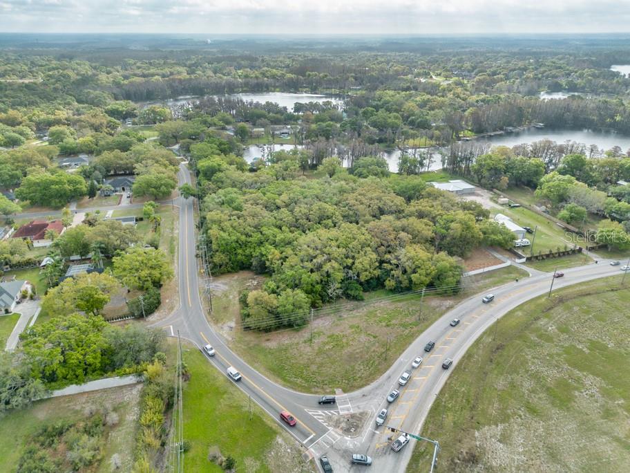 LUTZ LAKE FERN RD — photo 4