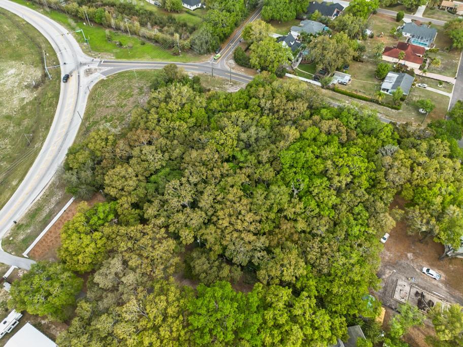 LUTZ LAKE FERN RD — photo 19