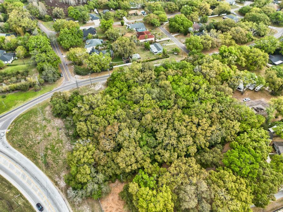 LUTZ LAKE FERN RD — photo 17