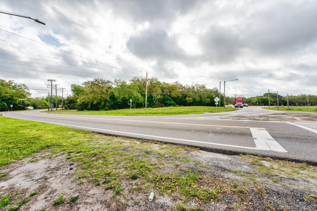 LUTZ LAKE FERN RD — photo 33