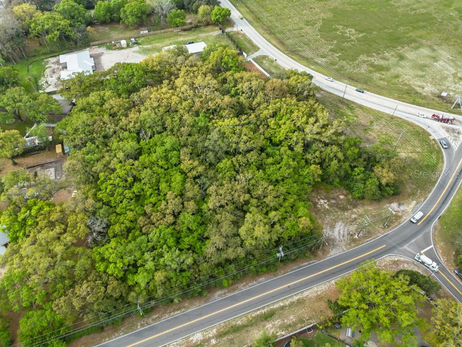 LUTZ LAKE FERN RD — photo 22