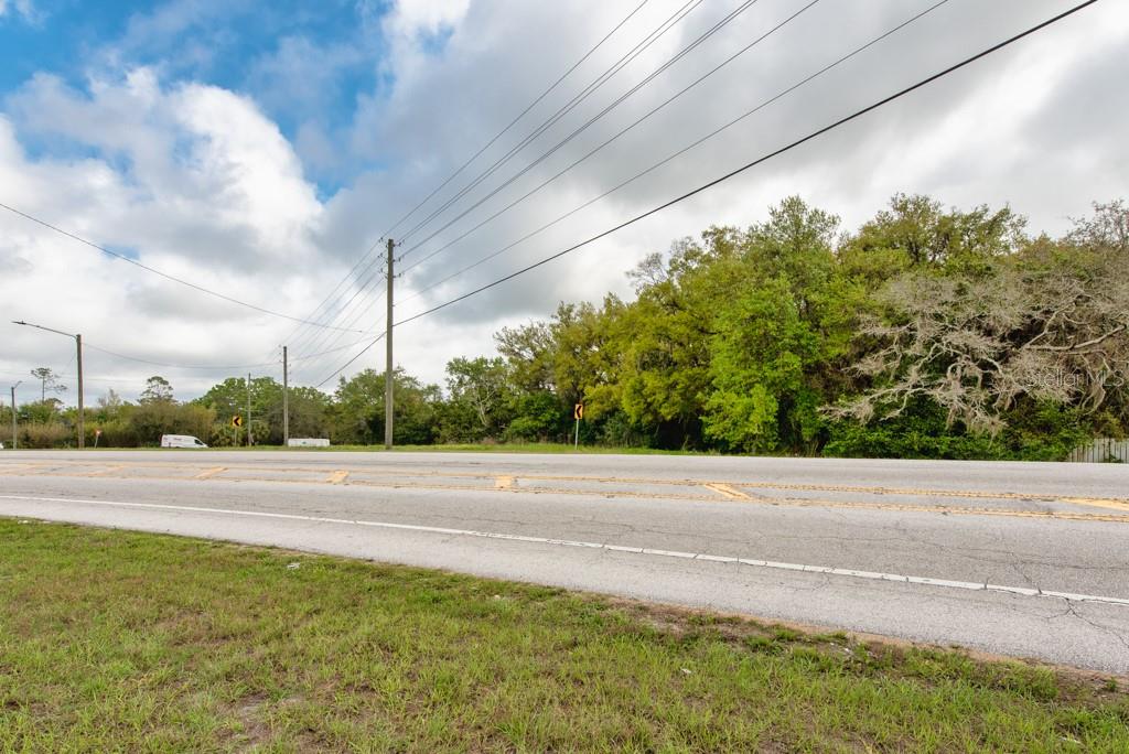 LUTZ LAKE FERN RD — photo 30