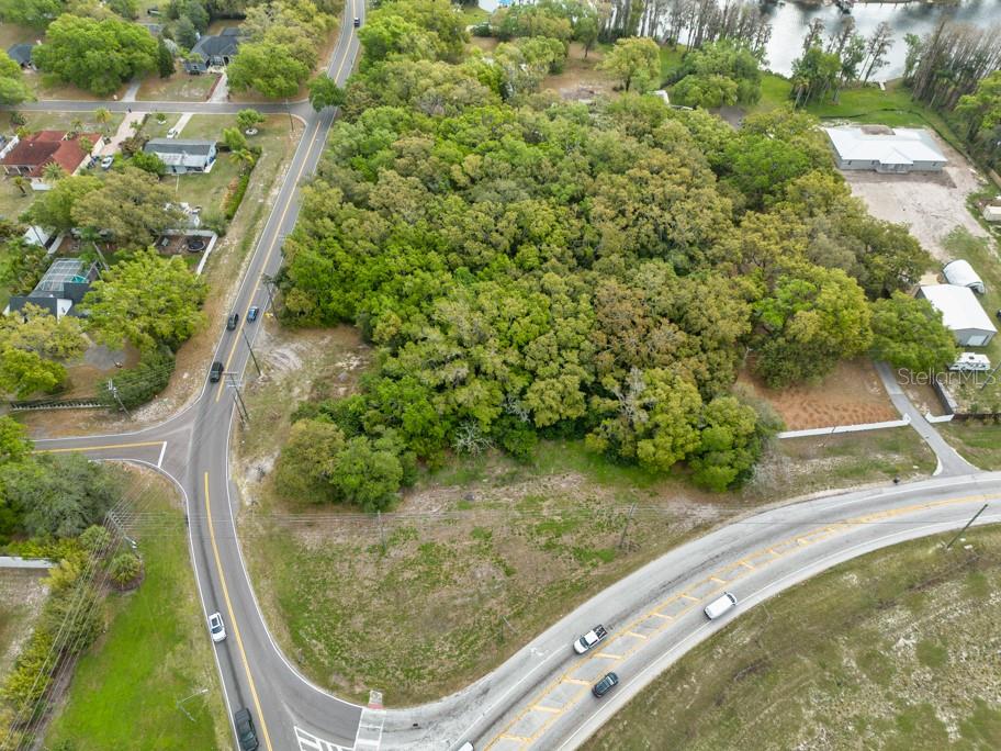 LUTZ LAKE FERN RD — photo 16