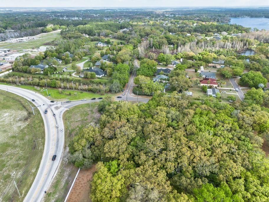 LUTZ LAKE FERN RD — photo 8