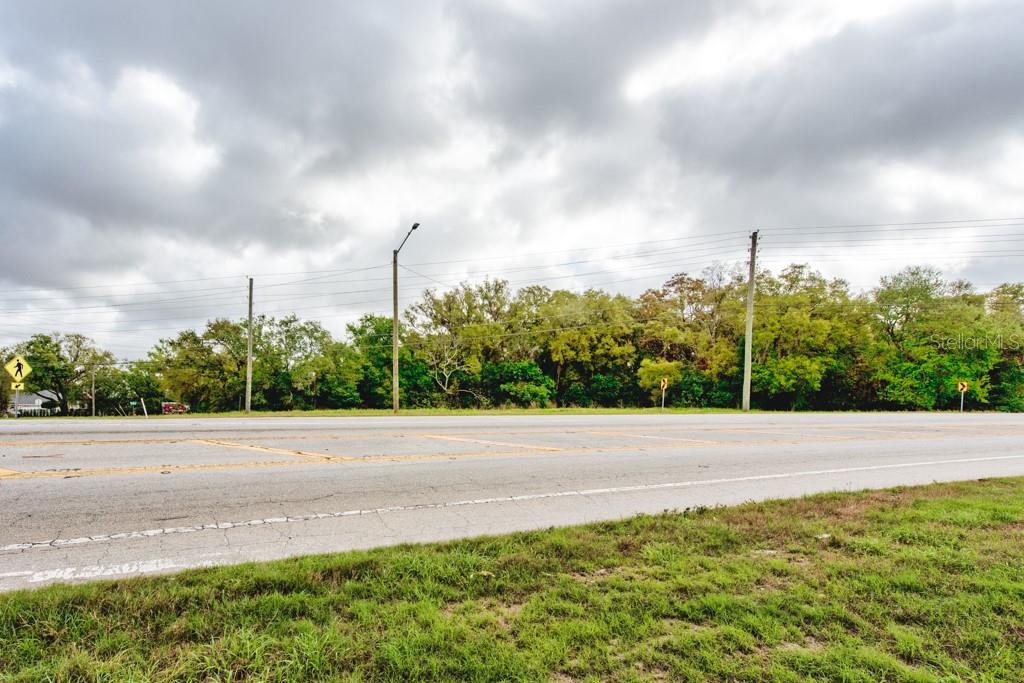 LUTZ LAKE FERN RD — photo 31