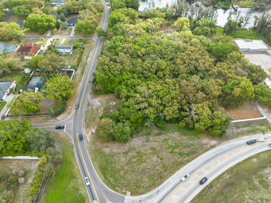 LUTZ LAKE FERN RD — photo 26