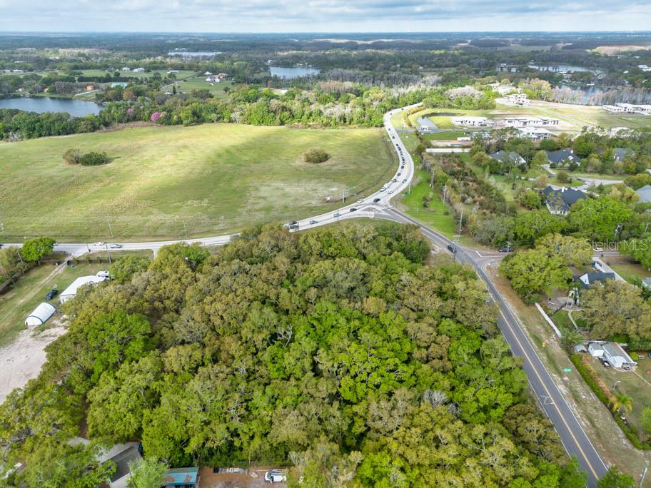 LUTZ LAKE FERN RD — photo 10