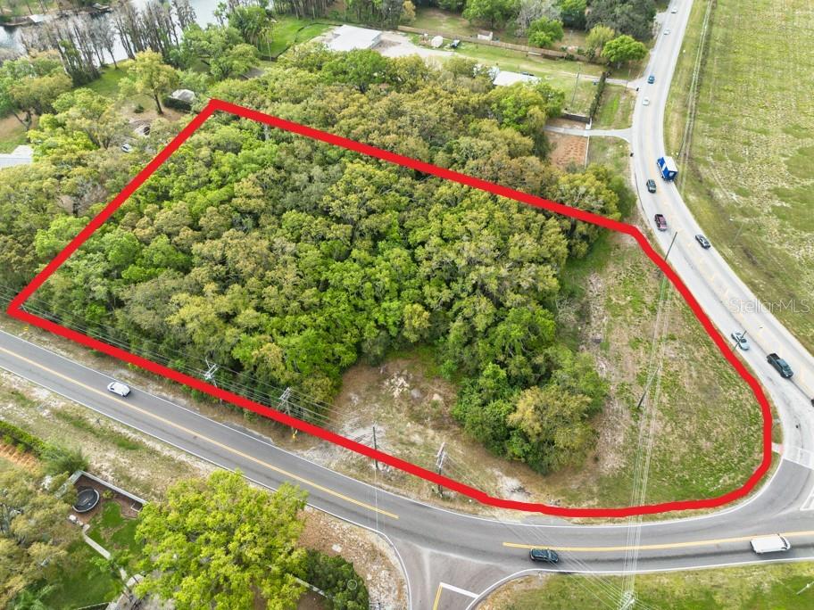 LUTZ LAKE FERN RD — photo 15