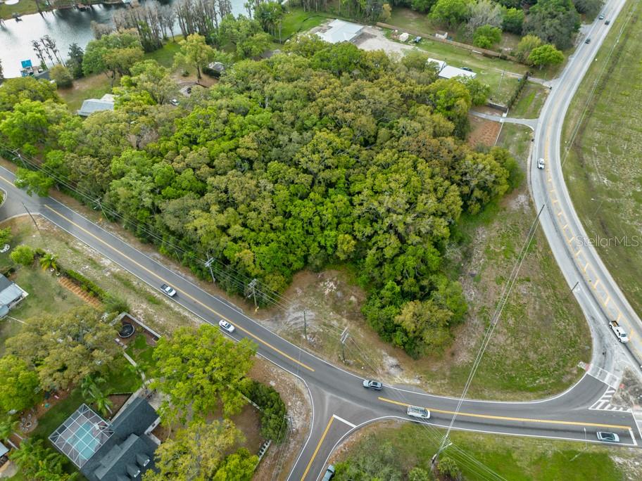 LUTZ LAKE FERN RD — photo 25