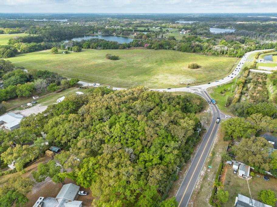 LUTZ LAKE FERN RD — photo 11