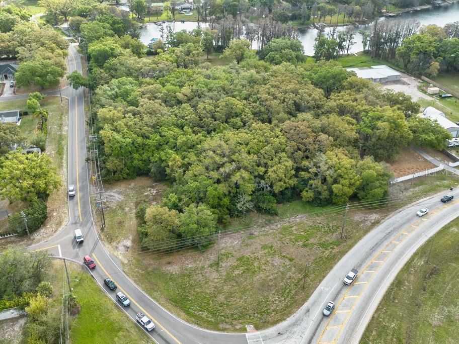 LUTZ LAKE FERN RD — photo 3