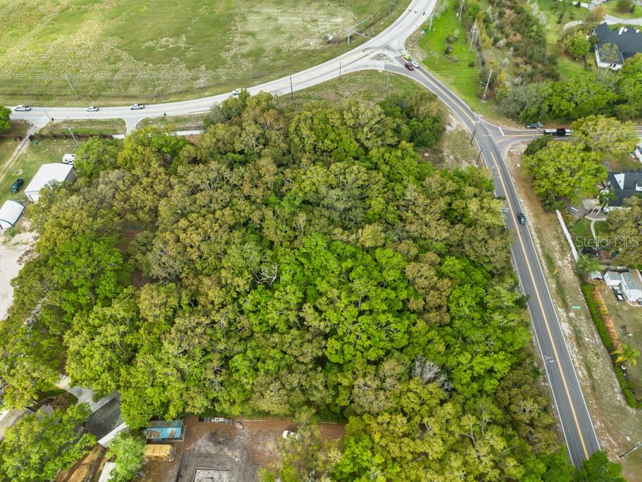 LUTZ LAKE FERN RD — photo 21