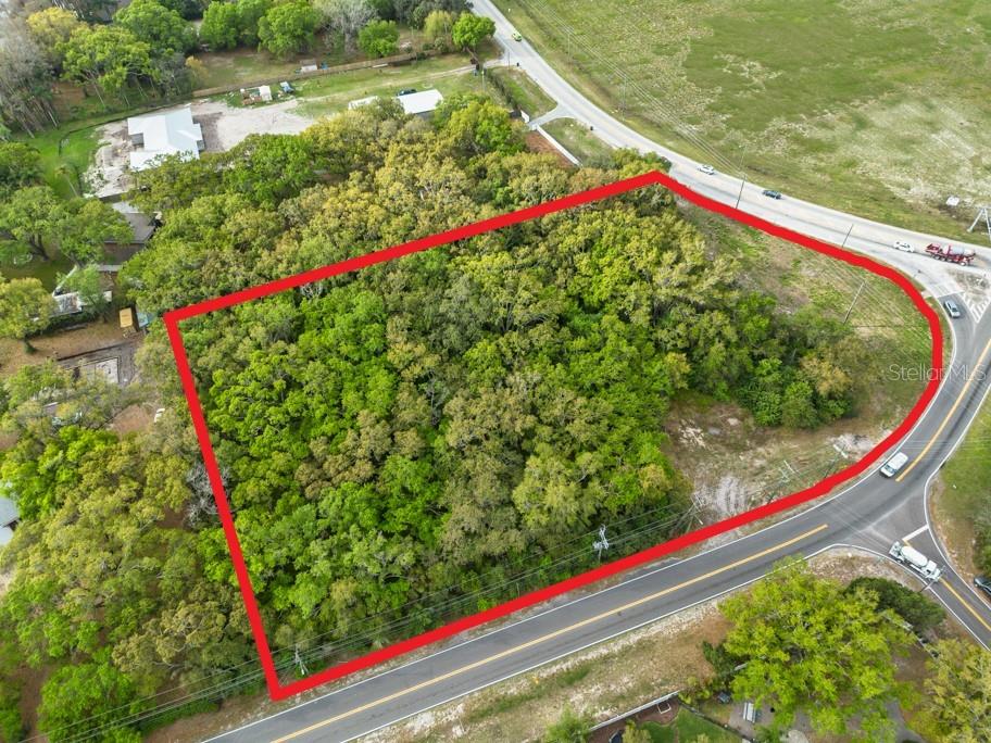 LUTZ LAKE FERN RD — photo 23