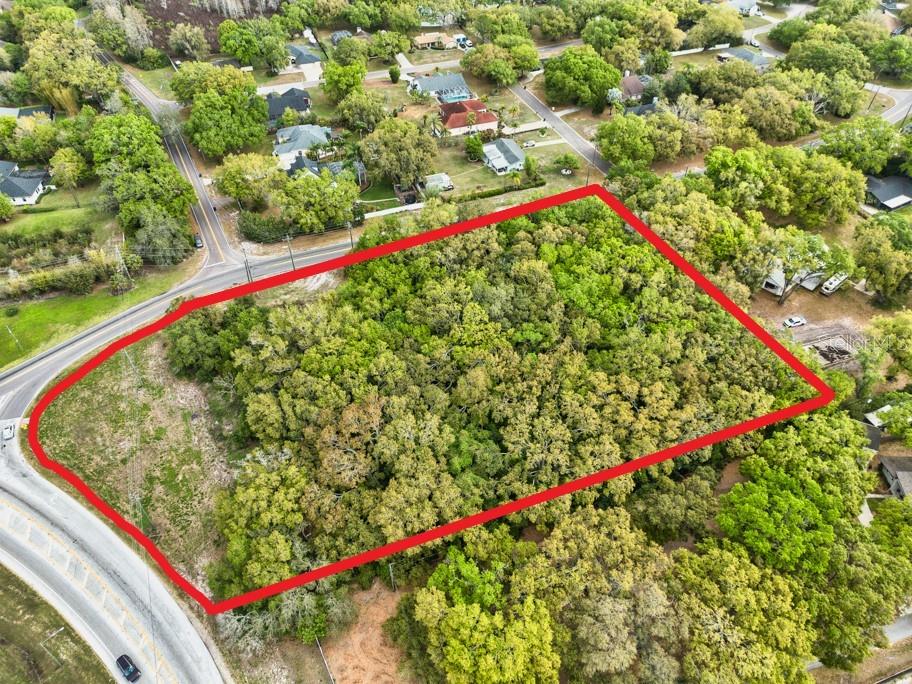 LUTZ LAKE FERN RD — photo 18