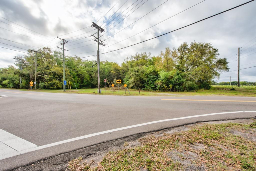 LUTZ LAKE FERN RD — photo 35