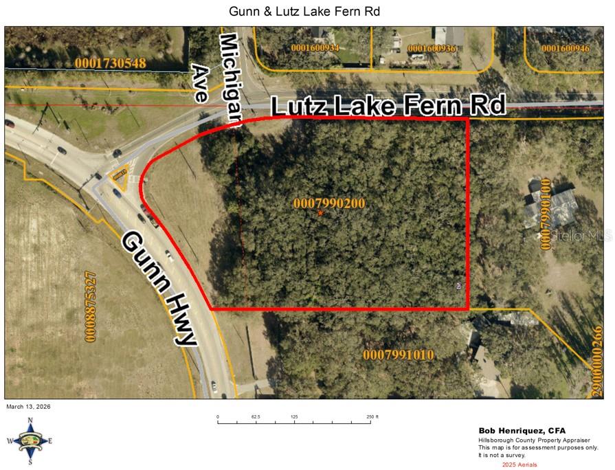 LUTZ LAKE FERN RD — photo 2