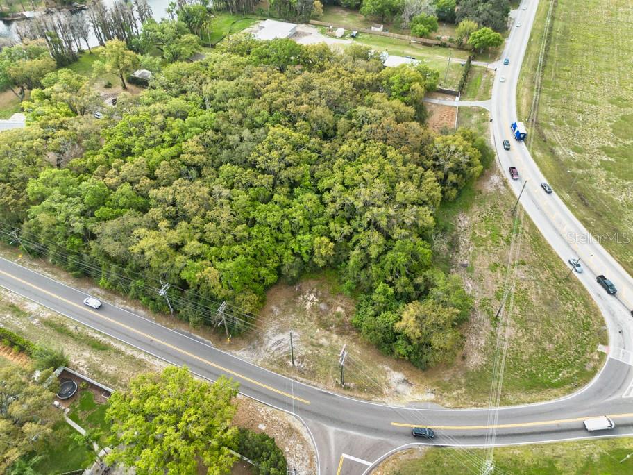 LUTZ LAKE FERN RD — photo 14