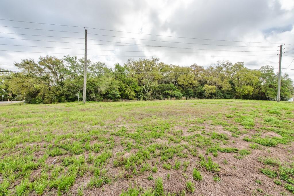 LUTZ LAKE FERN RD — photo 28