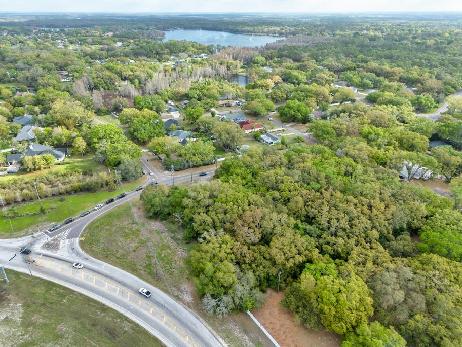 LUTZ LAKE FERN RD — photo 7