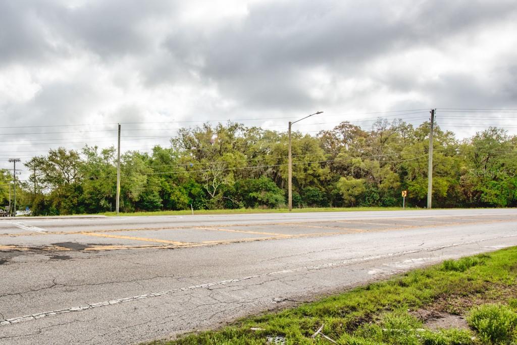 LUTZ LAKE FERN RD — photo 32