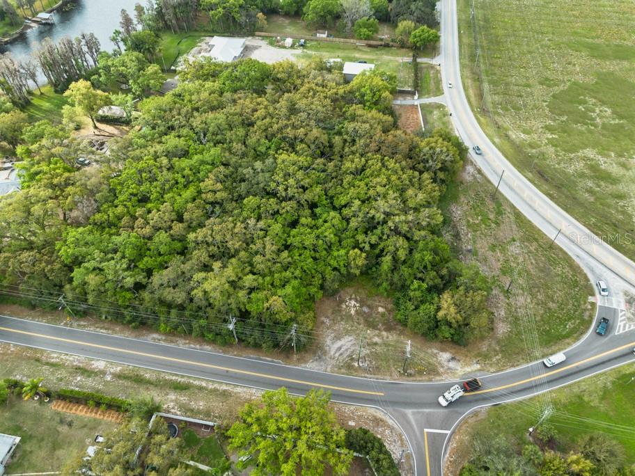 LUTZ LAKE FERN RD — photo 24