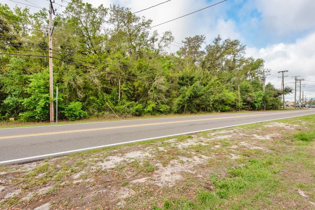 LUTZ LAKE FERN RD — photo 36