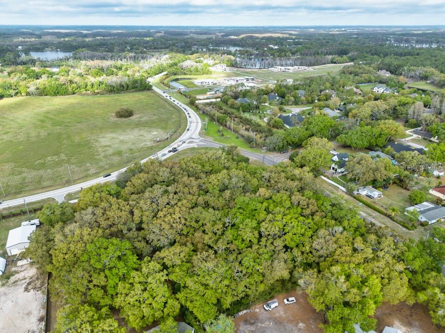 LUTZ LAKE FERN RD — photo 9