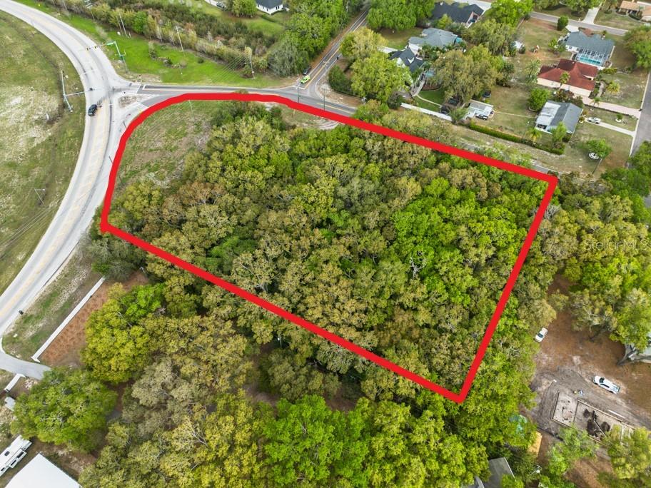 LUTZ LAKE FERN RD — photo 20