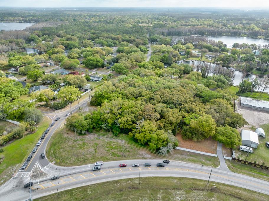 LUTZ LAKE FERN RD — photo 6