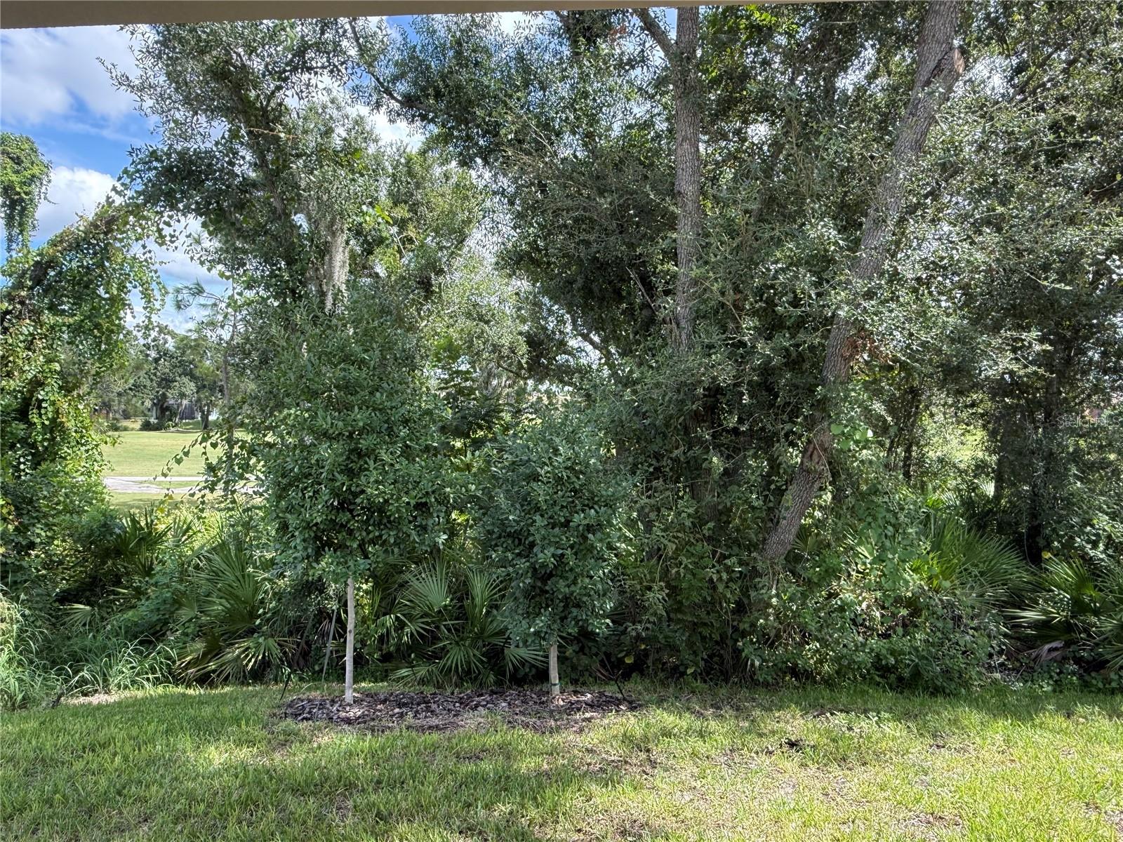 3695 NANDINA CIR — photo 8