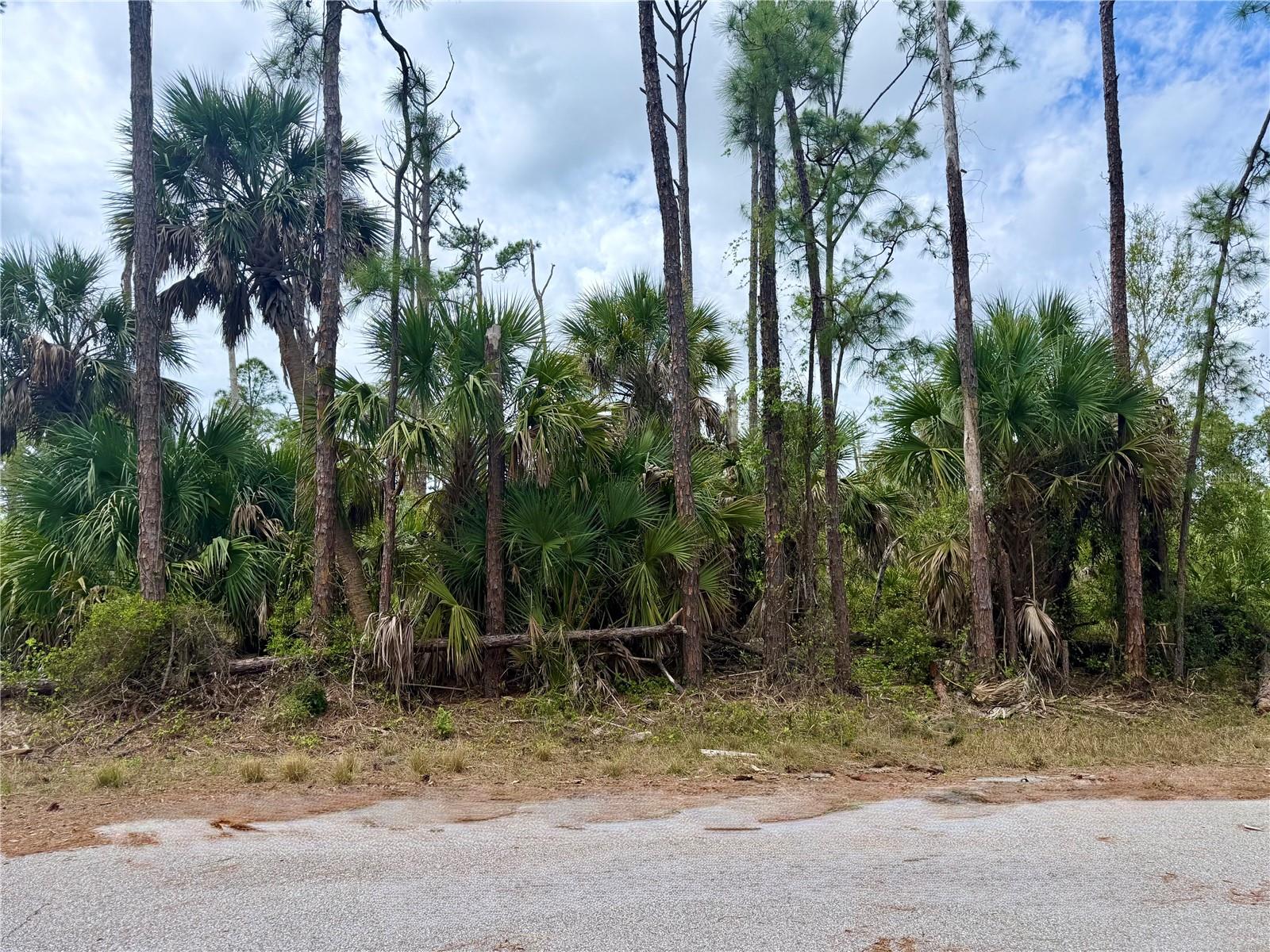 APRICOLA RD — photo 2