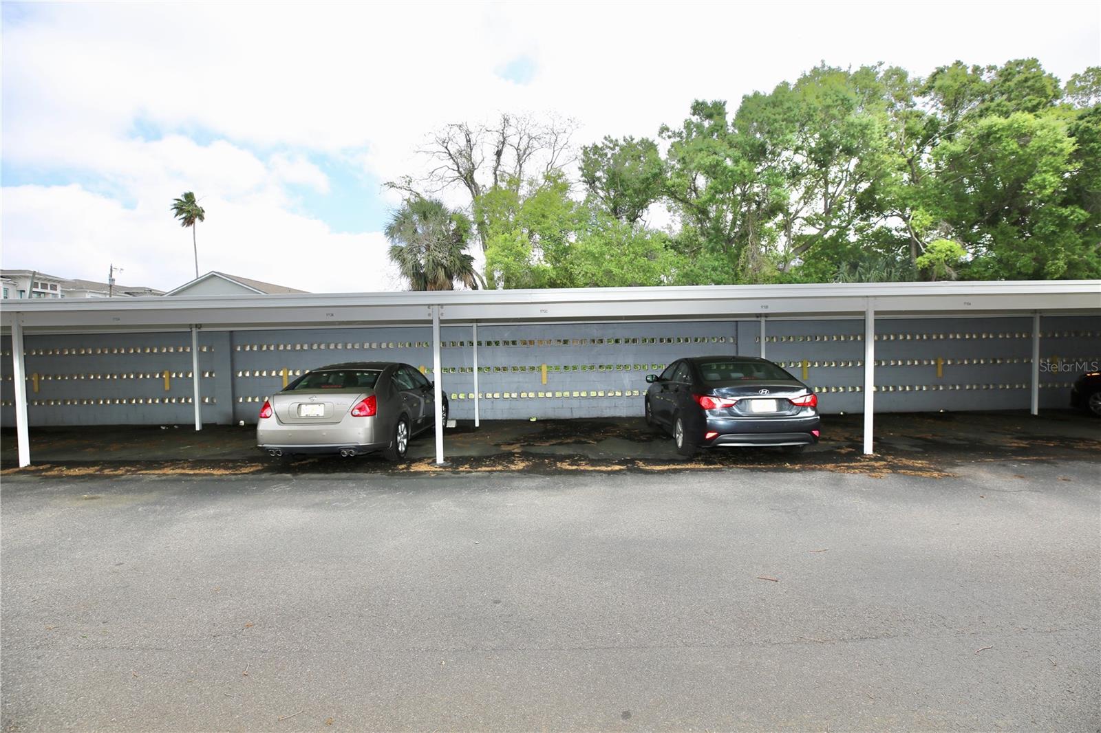 1713 BELLEAIR FOREST DR #C — photo 35