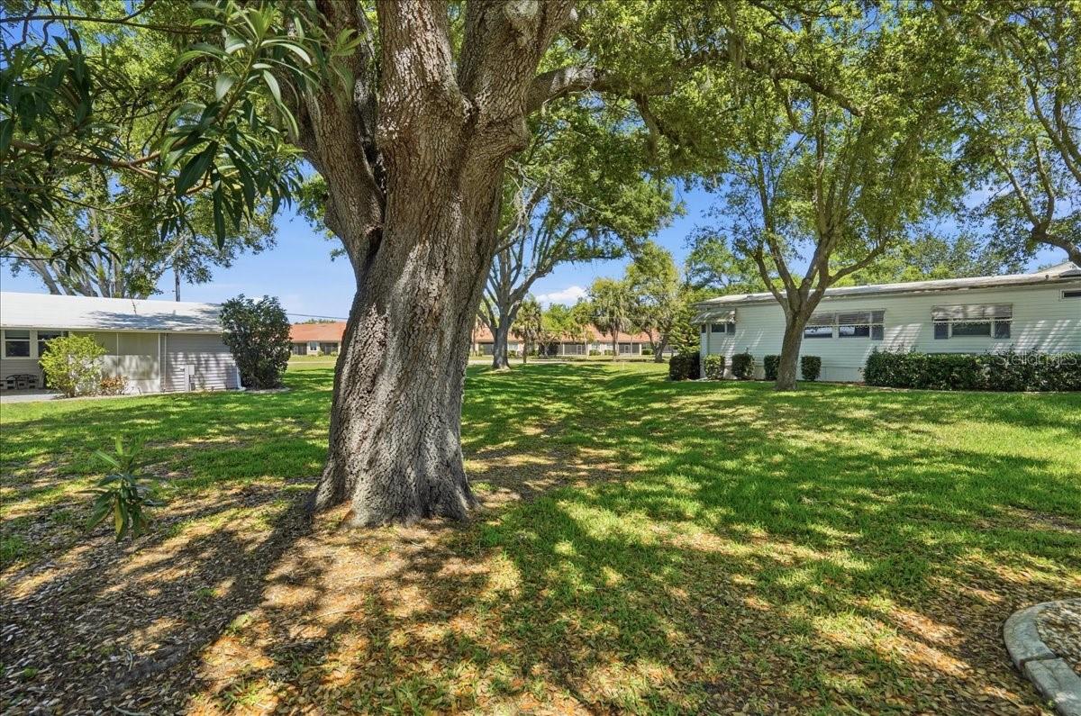 8514 MONARCH PL — photo 8