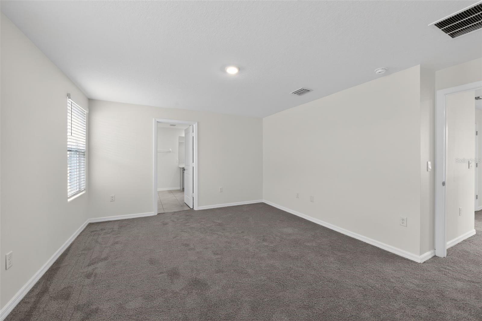 439 SUNLIT CORAL ST — photo 13