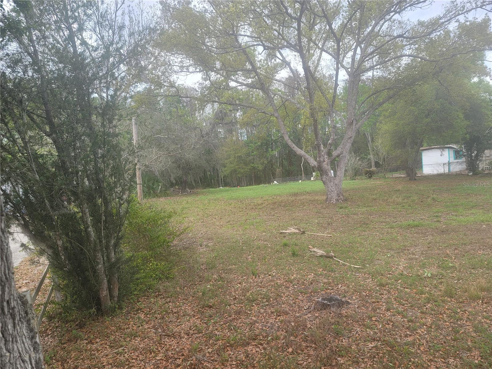 11641 BRUIN DR — photo 5