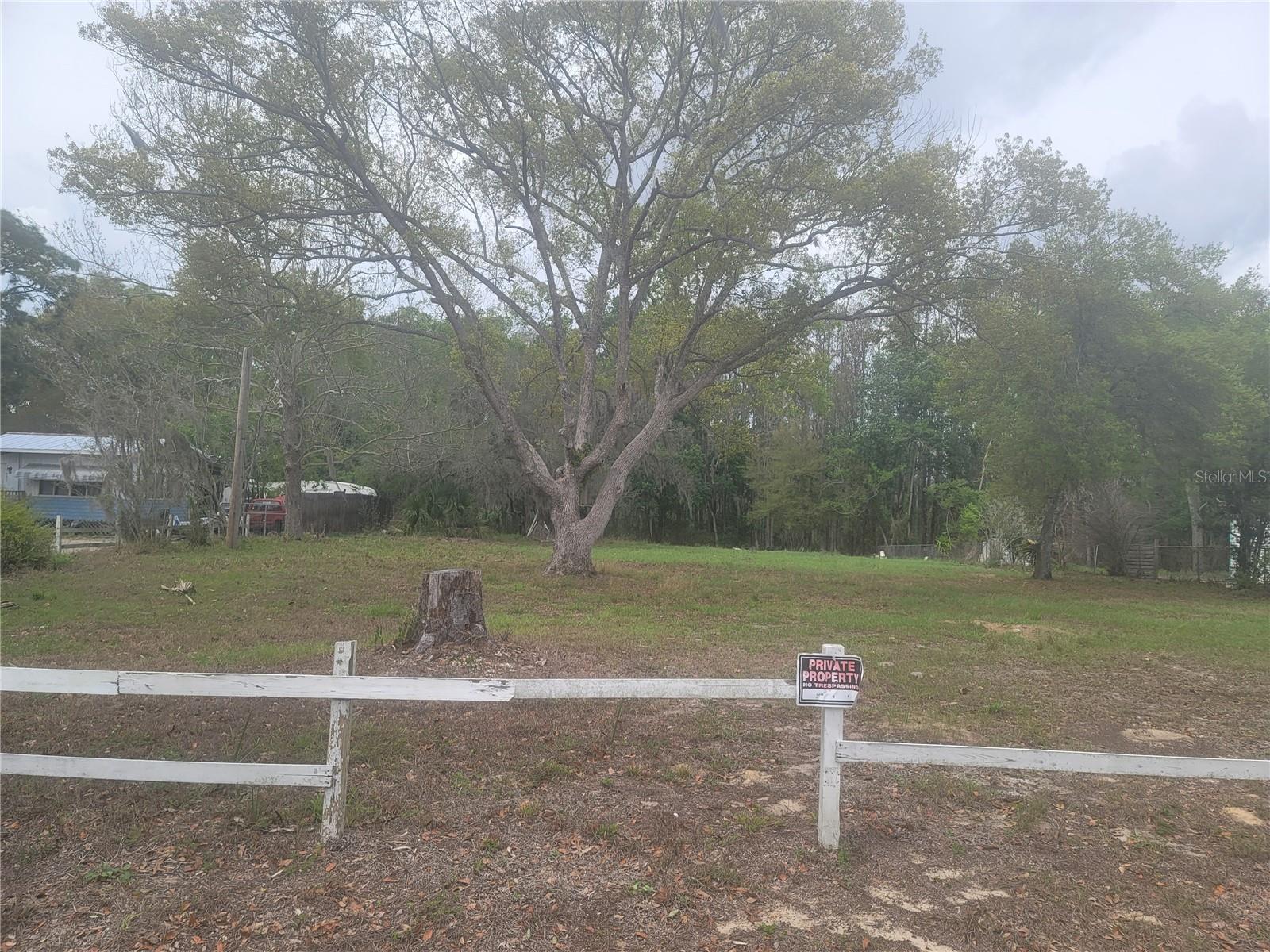 11641 BRUIN DR — photo 8