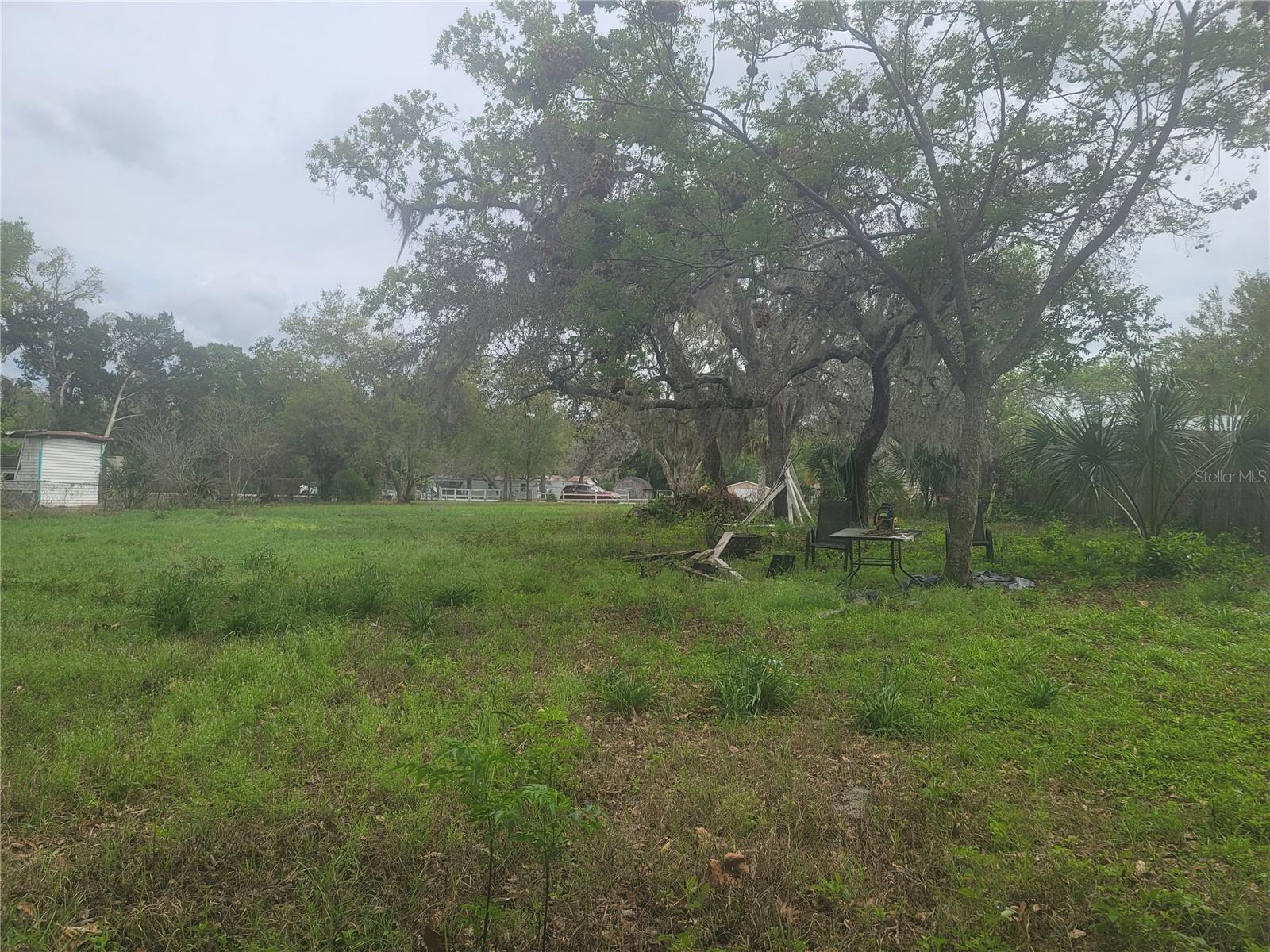 11641 BRUIN DR — photo 18