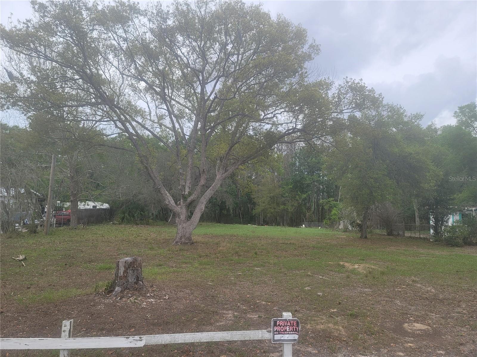 11641 BRUIN DR — photo 9