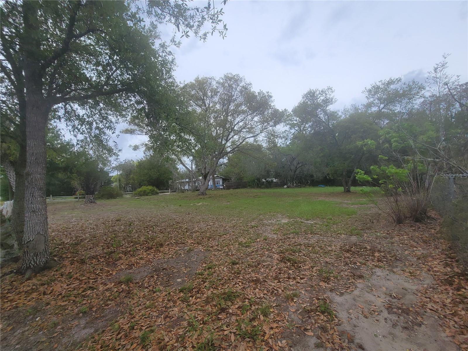11641 BRUIN DR — photo 11
