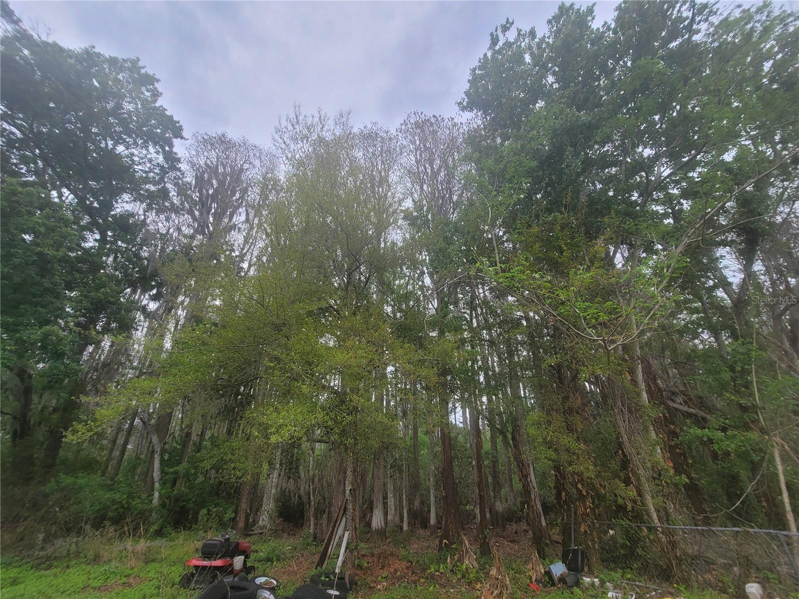 11641 BRUIN DR — photo 13