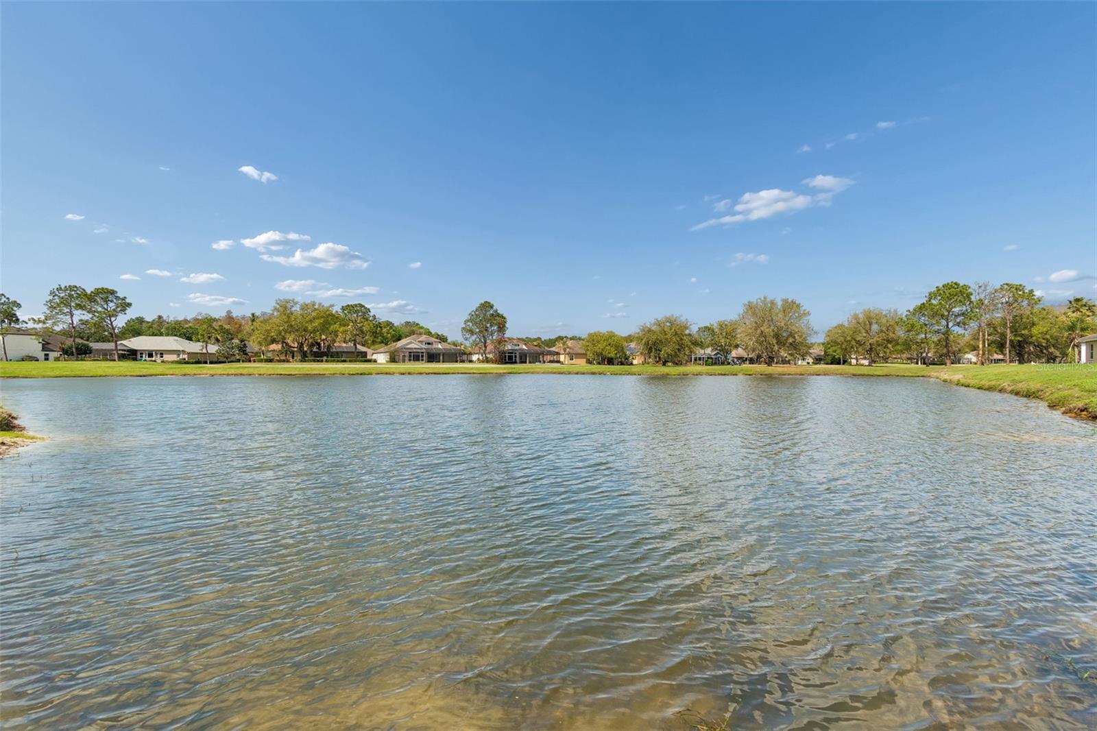 5323 BOLD VENTURE PL — photo 46