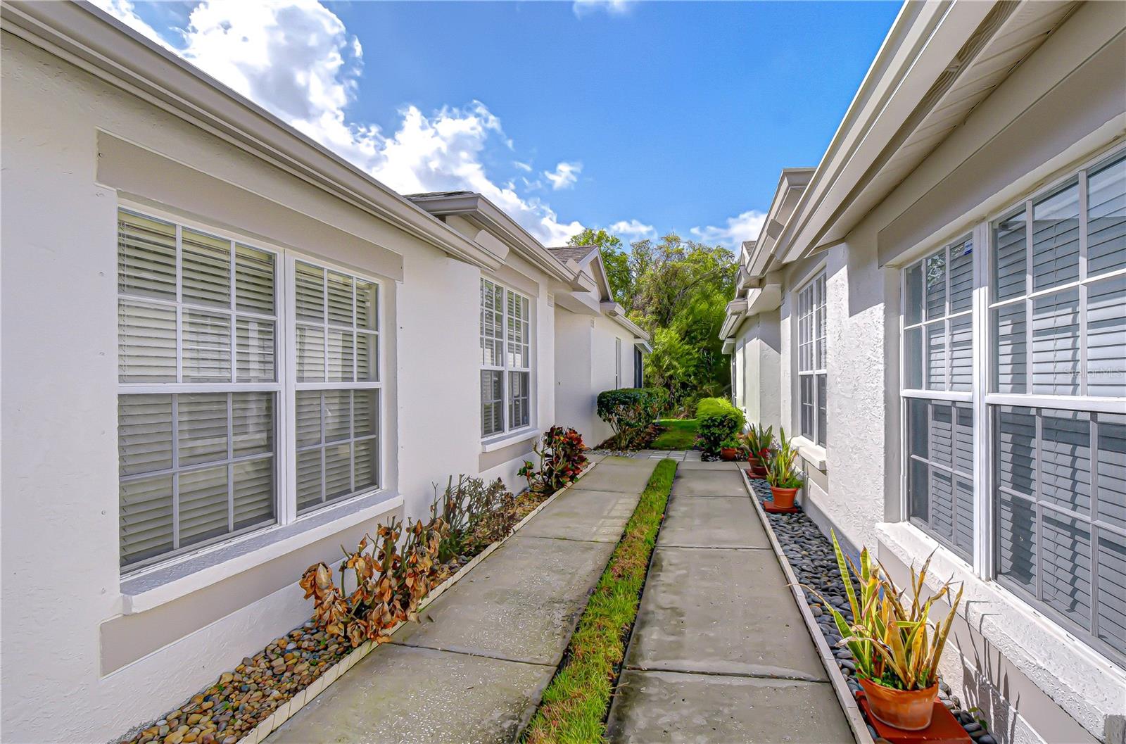 1832 SASSAFRAS DR — photo 6