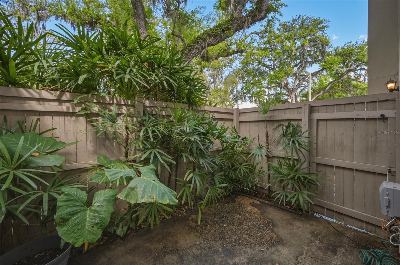 7912 CEDAR DR #7912 — photo 25