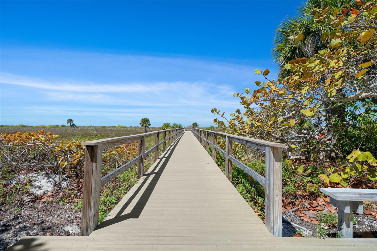 1230 GULF BLVD #303 — photo 41
