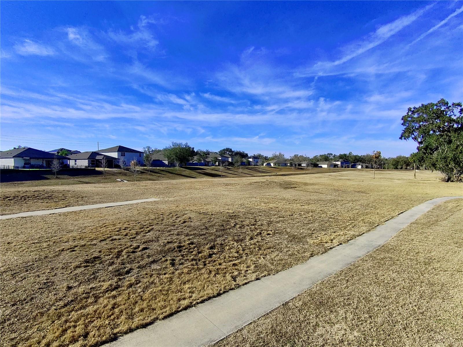 6803 BRANHAM MILL CT — photo 26