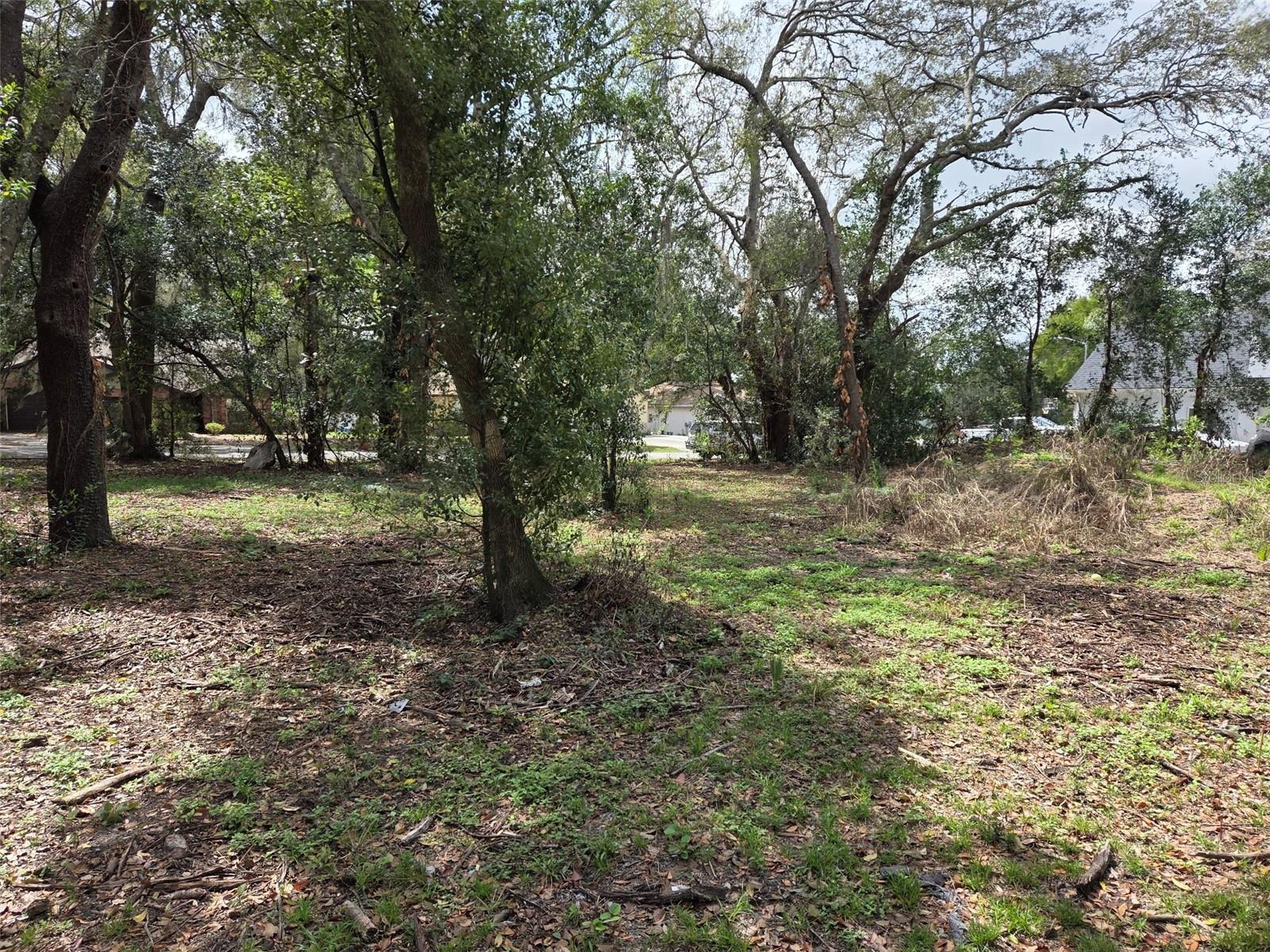 KELLY LYNN COURT — photo 3