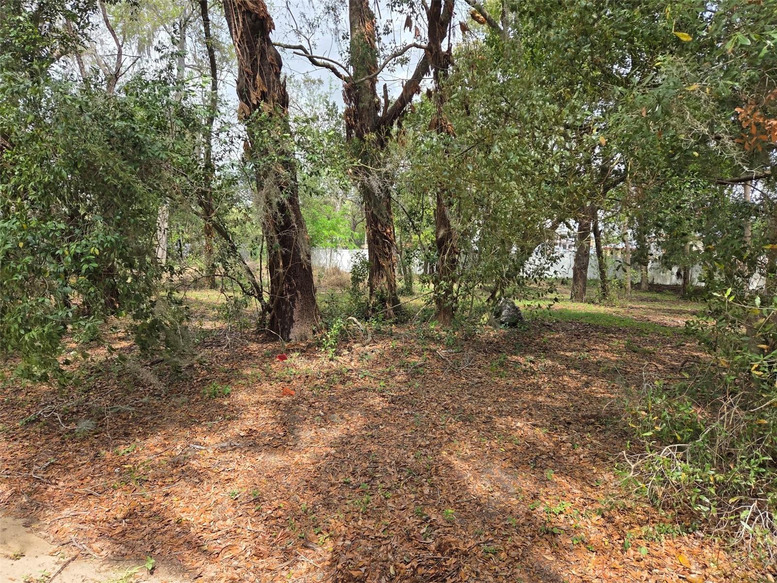 KELLY LYNN COURT — photo 2