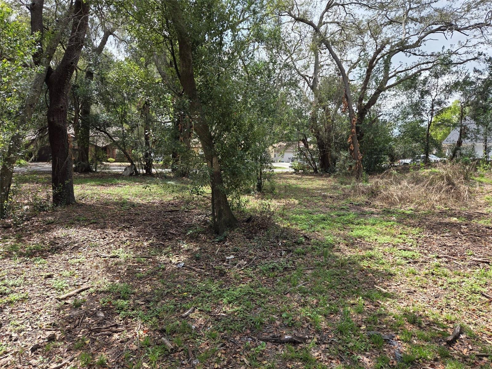 KELLY LYNN COURT — photo 4